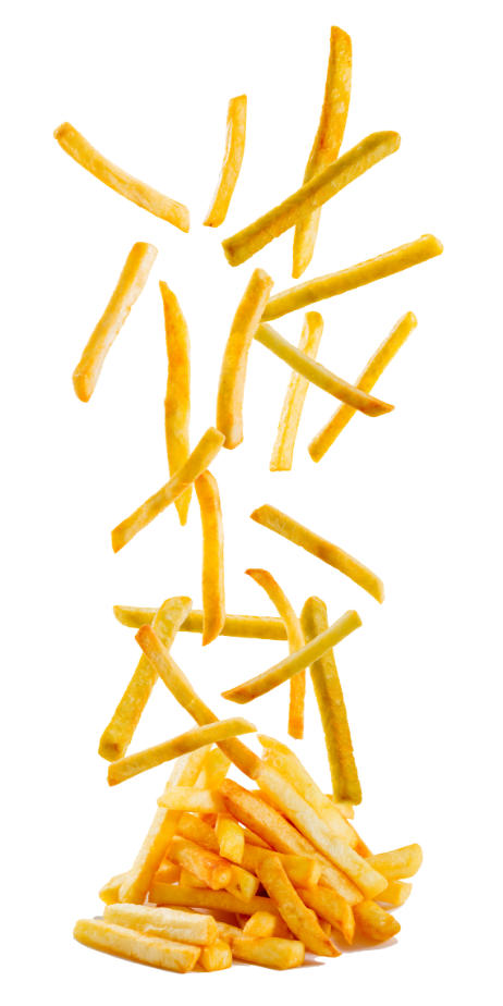 fries